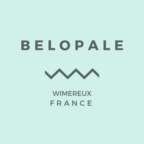 Belopale @ Residence La Belle Epoque Wimereux Εξωτερικό φωτογραφία